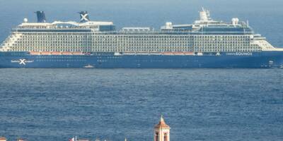 Quel est donc cet immense bateau de croisière qui voguait près de nos côtes ces derniers jours à Nice?