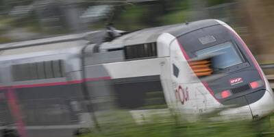 "Une source de stress": la SNCF va simplifier la numérotation des places dans les TGV Inoui et Lyria