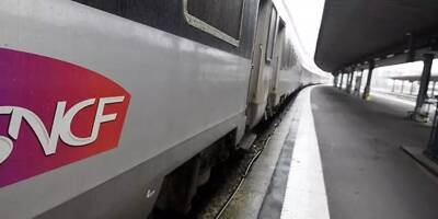 Une personne percutée par un train en gare de Nice, trafic ferroviaire interrompu ce lundi soir