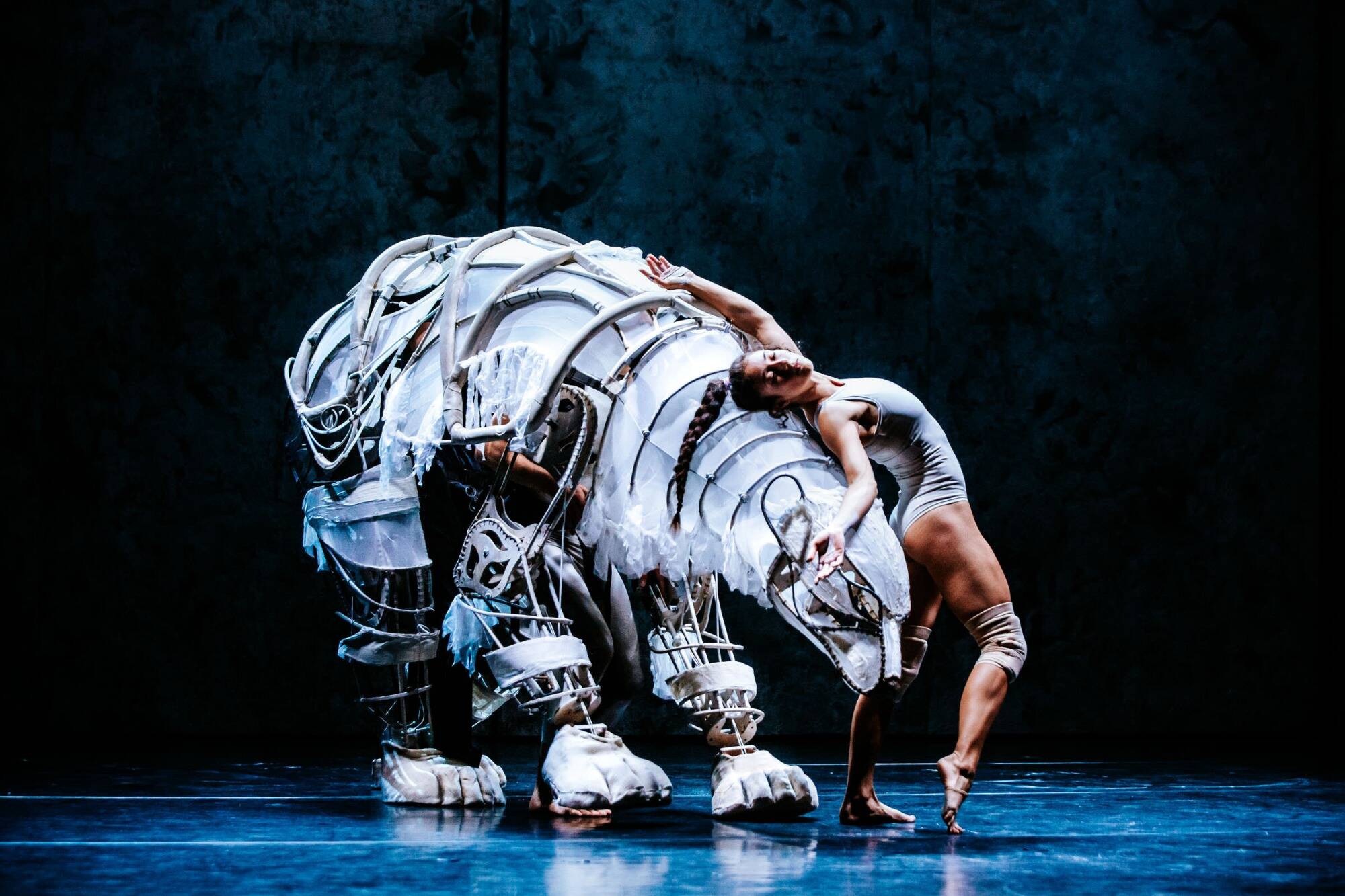 En novembre et décembre, le festival de danse de Cannes sera sans frontières