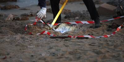 Un promeneur découvre un obus sur une plage du Golfe de Saint-Tropez