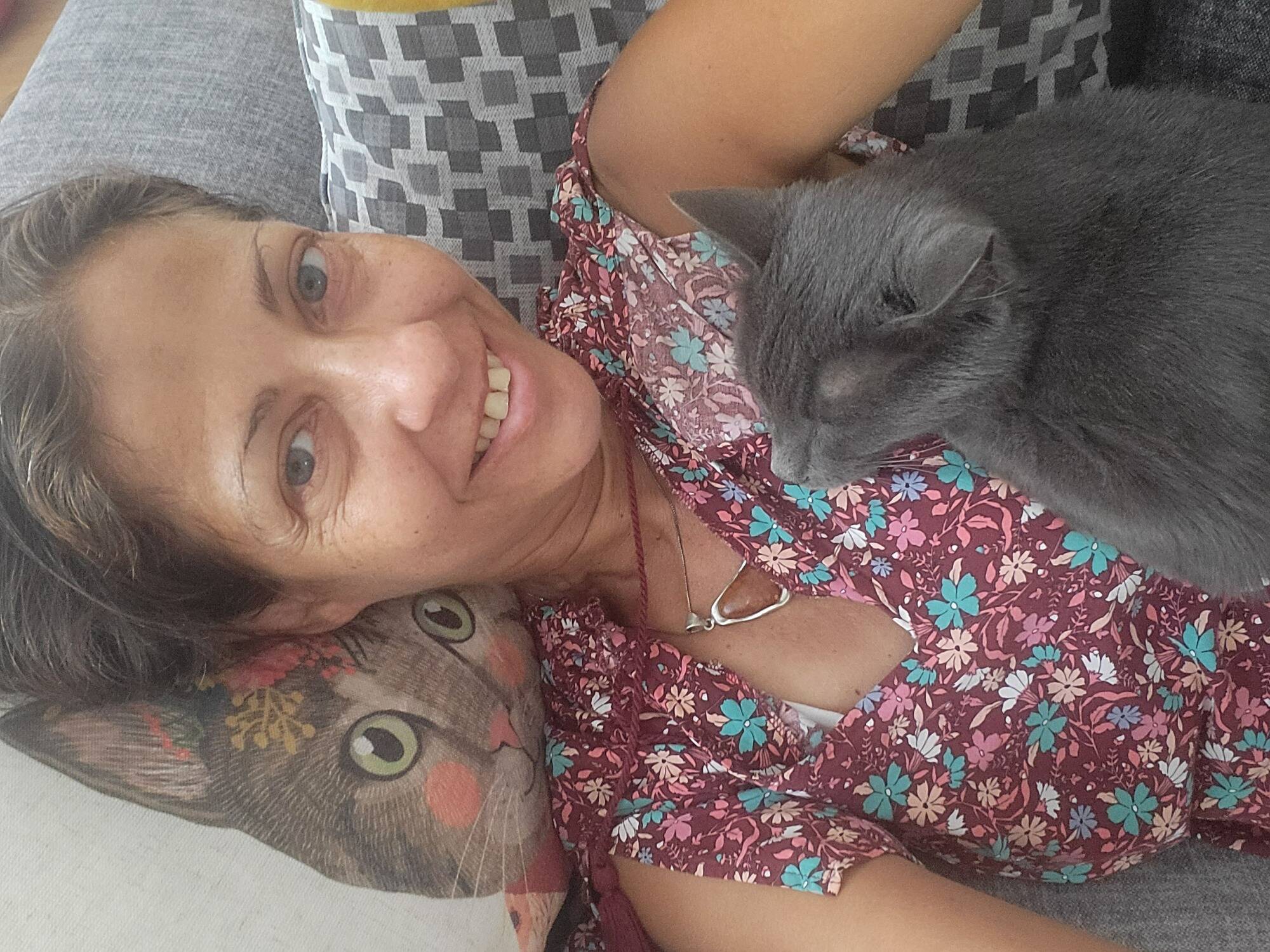 Porté disparu depuis 17 jours à Fréjus, le chat Kiwi est de retour dans les bras de sa maîtresse après plusieurs tentatives d'arnaques