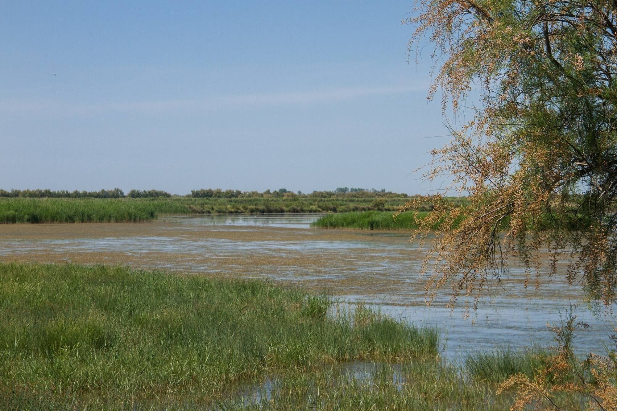 Plus d'un tiers des zones humides de Méditerranée menacées par la montée des eaux, selon une étude