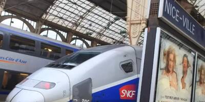 SNCF Réseau condamnée à une forte amende pour complicité d'atteinte à l'environnement