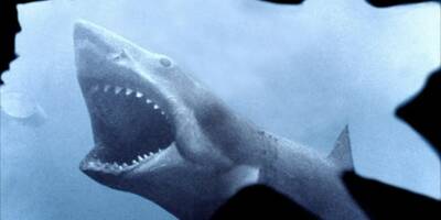 Spielberg raconte ses regrets pour les requins après 