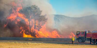 Déjà 1.200 hectares brulés dans l'incendie monstre de Gonfaron, des évacuations en cours