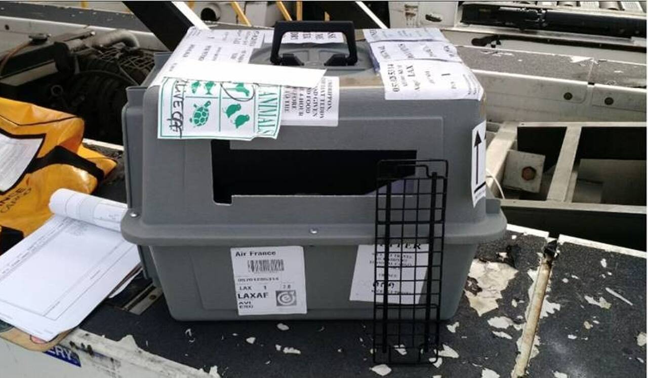 229589821_108308798165440_7803285120992084630_n-b4fyoYwC.jpg?vh=4ea90d&ci_seal=f252ab4cda&w=1280&h=746&gravity=auto&func=crop