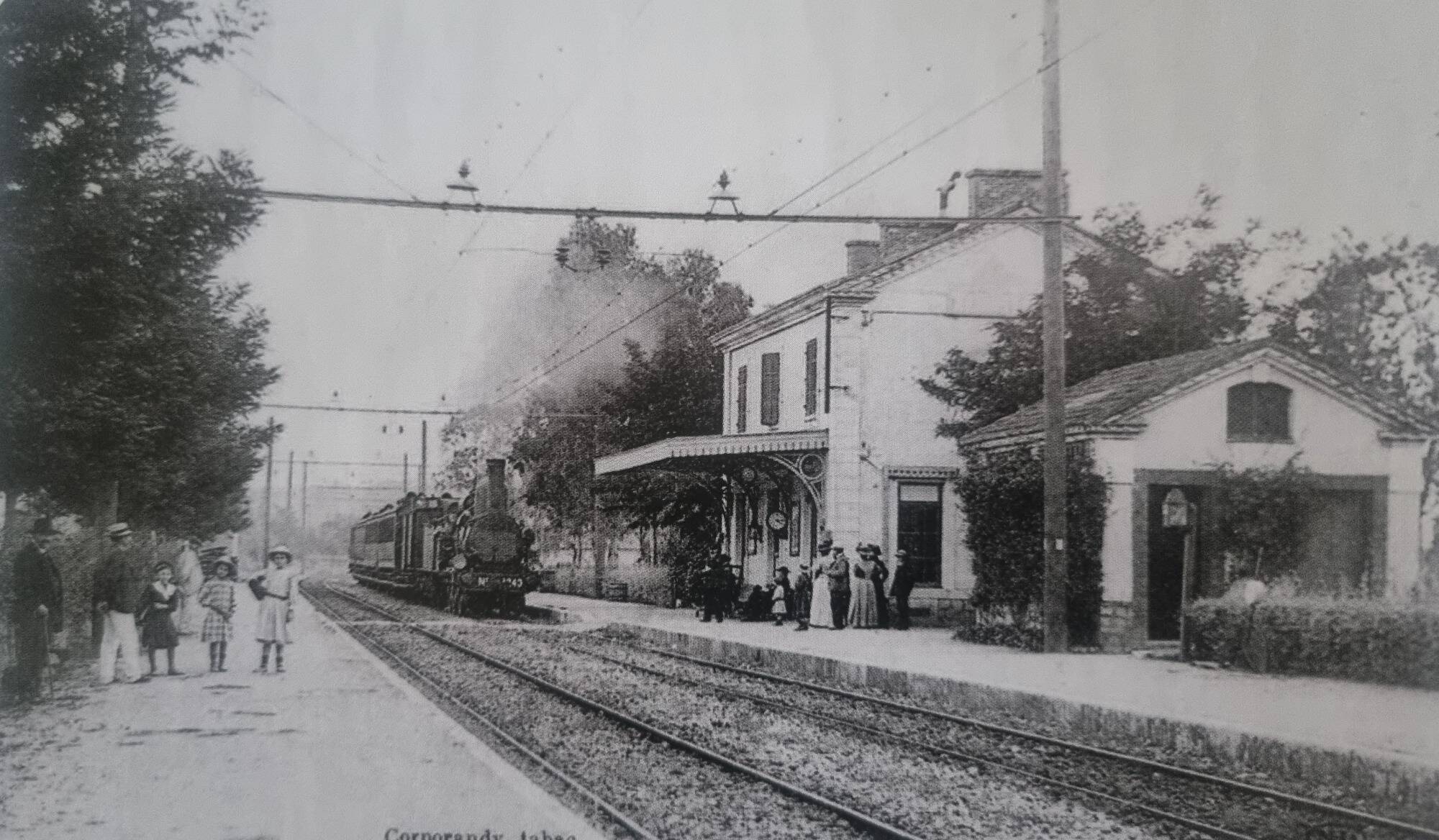 On vous raconte comment la ligne ferroviaire Cannes-Grasse a pu renaître de ses cendres