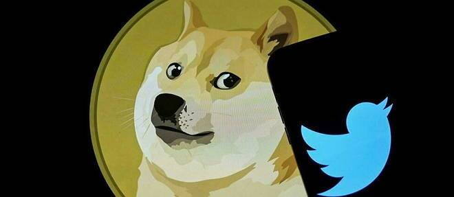 Dernière provocation en date d'Elon Musk: pourquoi un chien apparaît-il à la place du logo de Twitter?