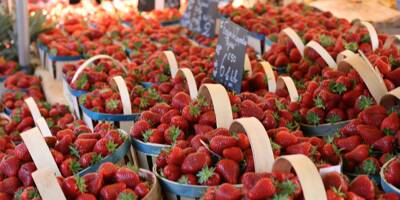 Pourquoi les prix des fraises françaises baissent dans les supermarchés, les consommateurs invités à consommer