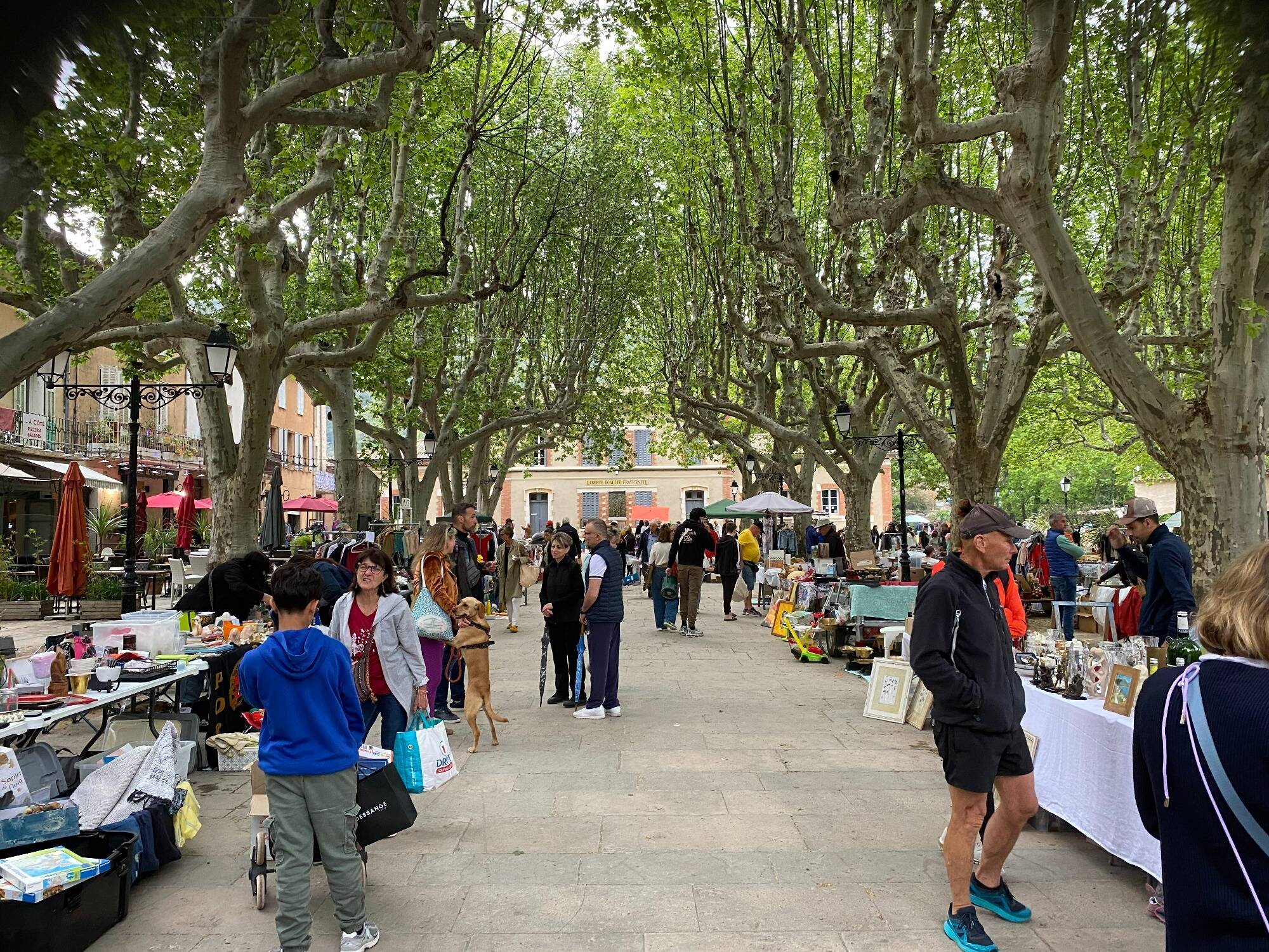 Malgré la pluie, le vide-greniers incontournable de Villecroze remporte un vif succès