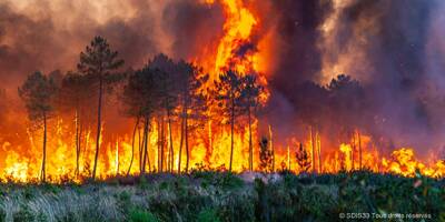 Découvrez les images effroyables des incendies monstres qui ravagent la Gironde