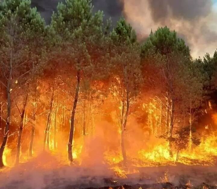 On fait le point sur les plus importants incendies qui frappent la France en ce moment