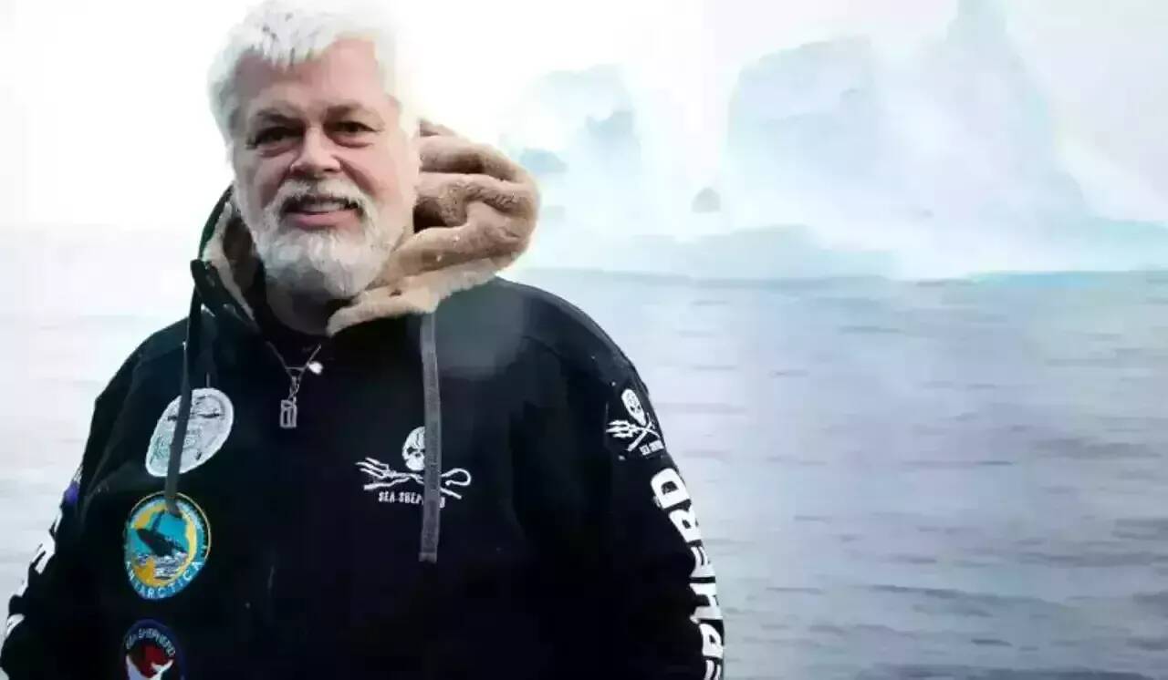 La Ville de La Seyne vote une motion de soutien à Paul Watson et va demander à Emmanuel Macron de "prendre position"