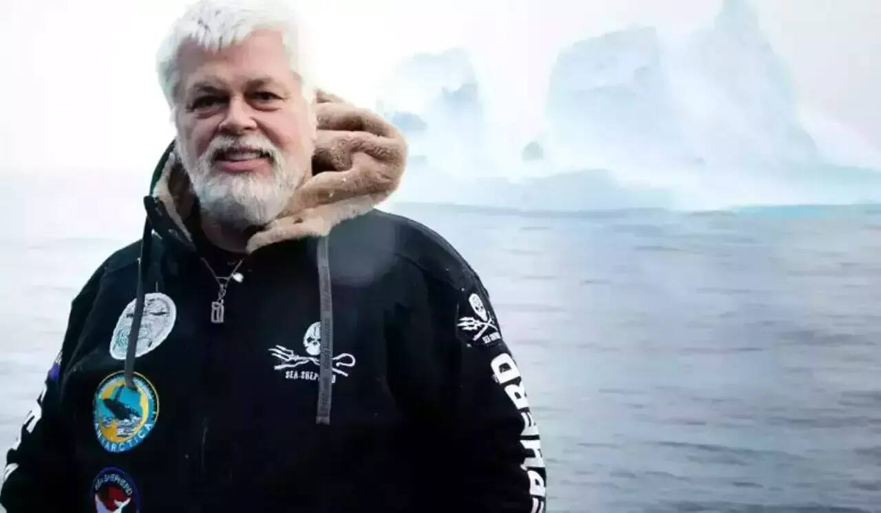 Florent Pagny, Francis Lalanne, Véronique Sanson... Des stars de la chanson composent une musique en soutien au fondateur de l'ONG Sea Shepherd Paul Watson
