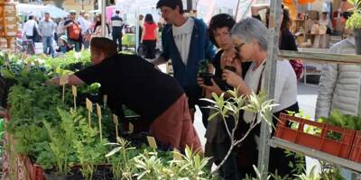 Festival Souffleurs d'avenir à Biot, un événement écocitoyen autour de l'upcycling