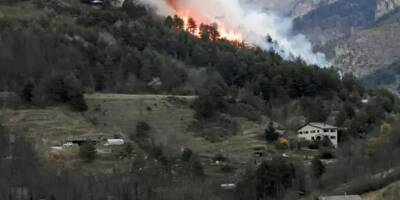 Nice, Colomars, Tende et Saint-Auban... On fait le point sur les feux qui ont ravagé plusieurs hectares sur la Côte d'Azur ce week-end