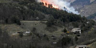 Tende: 5 hectares de flammes, une bergerie mise en protection