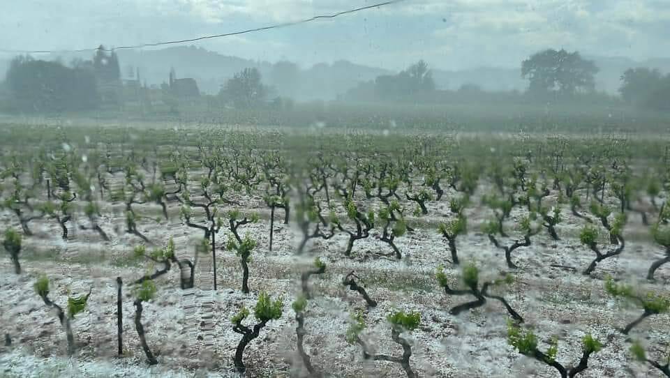 Il est tombé plus d'un mois de pluie en une heure dans cette commune du Var