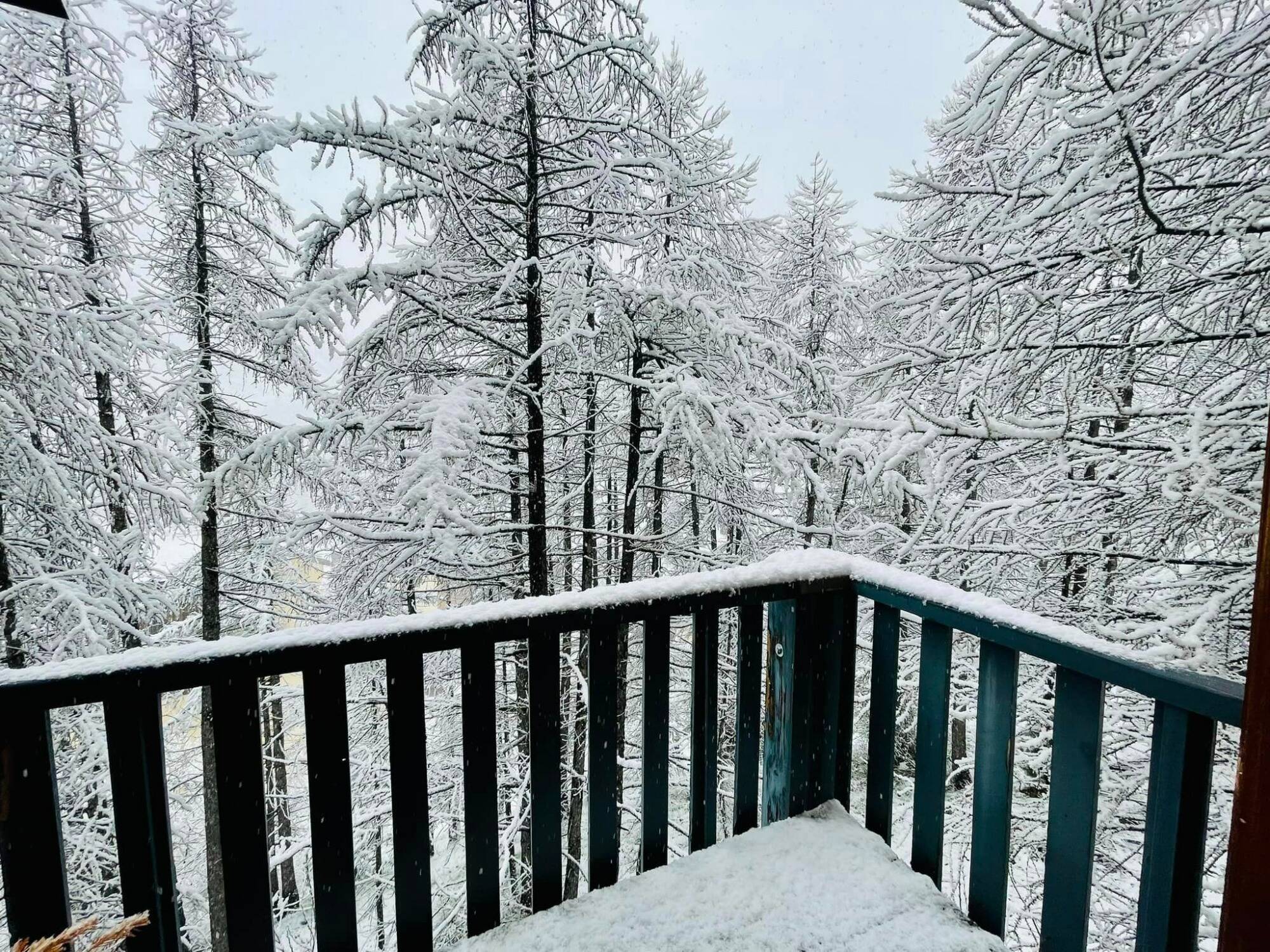 La neige est de retour dans les Alpes-Maritimes... Voici vos plus belles images
