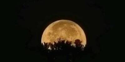 La pleine lune du loup, la première de l'année, illuminera la nuit ce jeudi soir