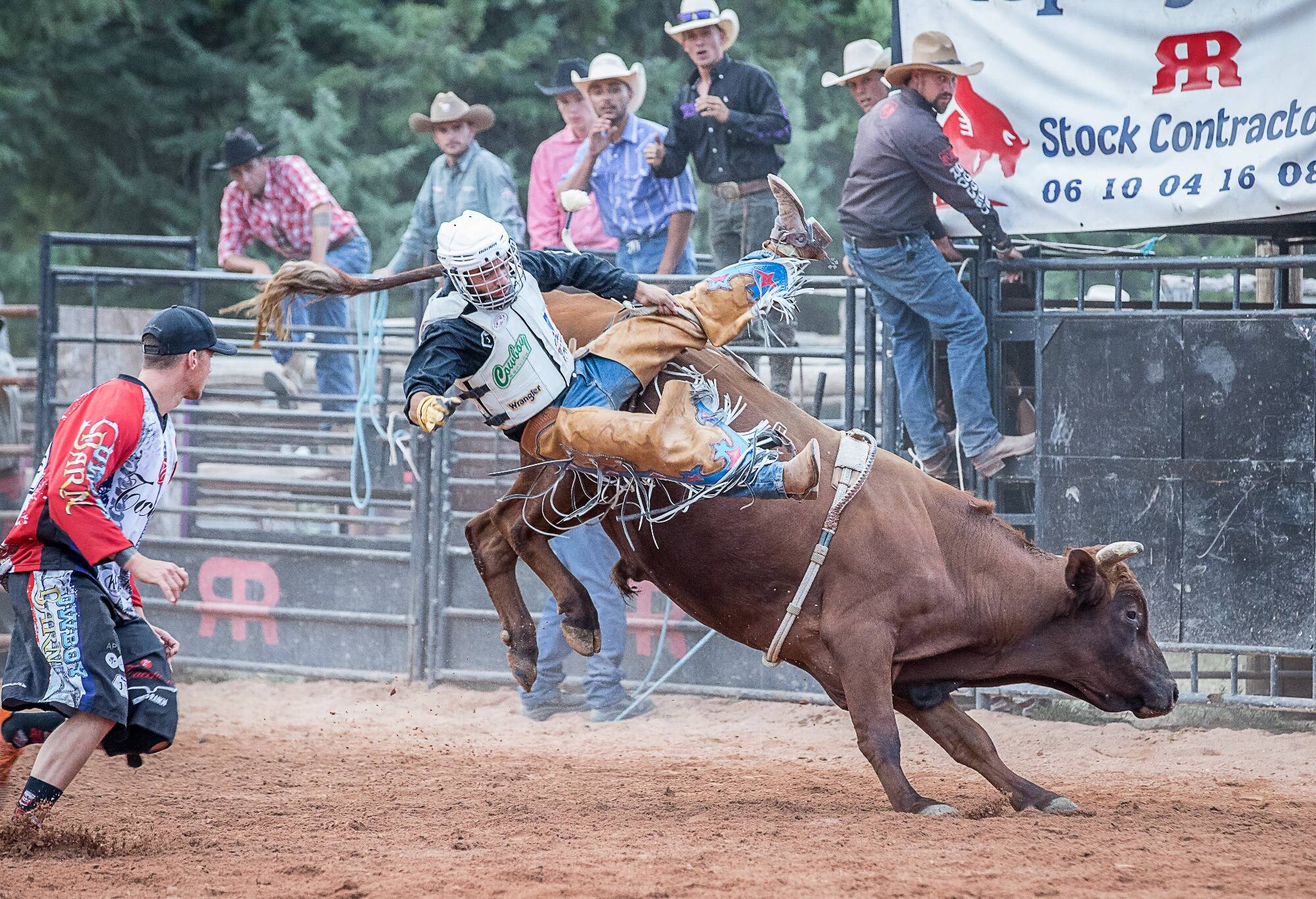 Découvrez le programme du championnat d'Europe de bull riding qui se déroulera dans cette commune du Var dès samedi