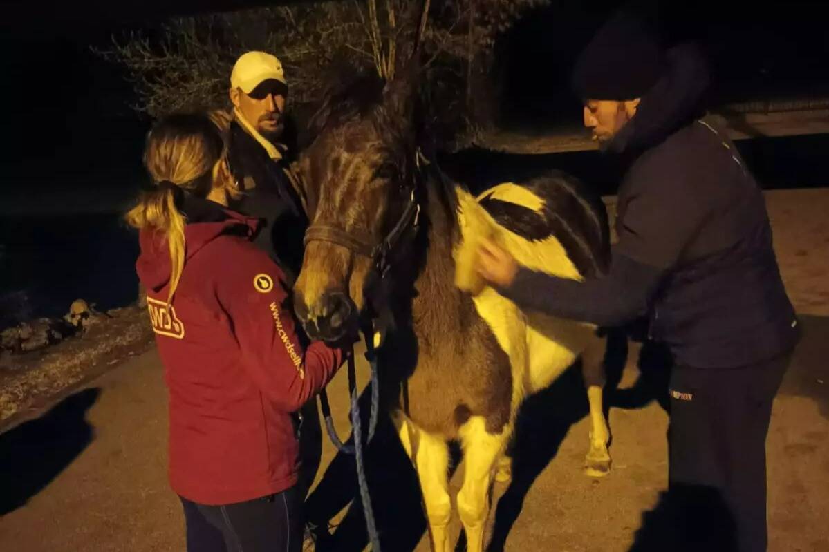 "Ça nous fait du bien": Cette ponette de 18 ans redonne le sourire aux sans-abri à Angoulême