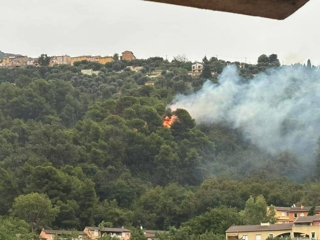 Frappé par la foudre, un arbre prend feu à Castellar