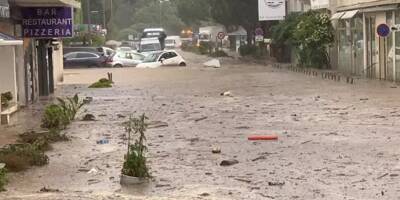 Au moins un mort et un blessé grave au Lavandou, une personne portée disparue, des centaines de pompiers mobilisés... suivez l'évolution des alertes météo dans les Alpes-Maritimes et le Var en temps réel