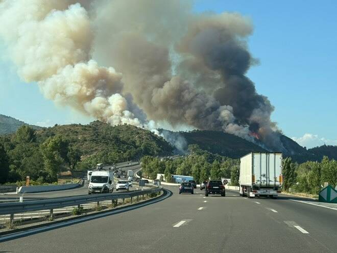 Les feux fixés, près de 30 hectares de forêt dévastés: ce que l'on sait sur l'incendie aux abords de l'A8 à Fréjus
