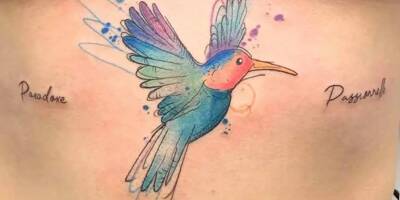 "Des styles ne pourront pas se faire sans couleur": l'inquiétude des tatoueurs face aux nouvelles mesures européennes interdisant certains pigments