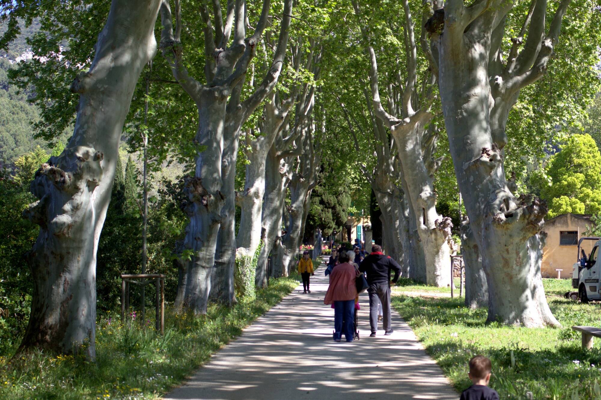 Documentaires, spectacles, jeux interactifs... Ce qui vous attend aux 22e Rendez-vous aux jardins à La Valette