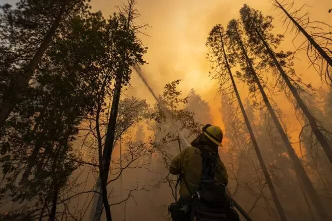 C'est le résultat d'une étude, la pollution émanant des incendies en Californie a tué 52.000 personnes en dix ans