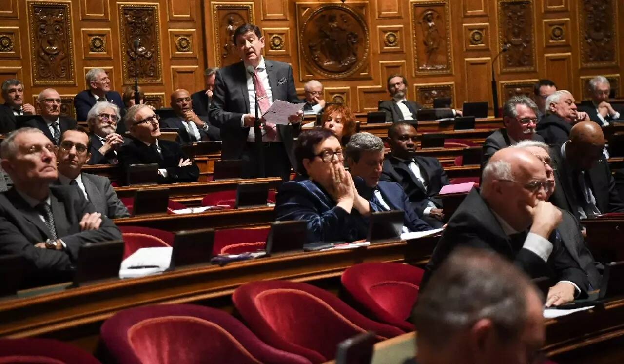 Que trouve-t-on dans les cheveux des sénateurs et sénatrices? Un cocktail toxique dépisté