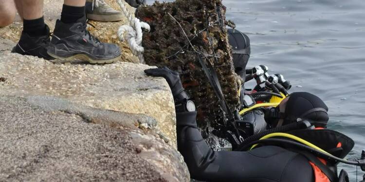 Pneus, bouteilles, plastiques, métaux... De nombreux déchets ont été sortis des eaux en baie de Saint-Mandrier