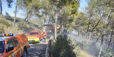 Grimaud, Toulon, Hyères... Première grosse alerte sur le front des incendies dans le Var