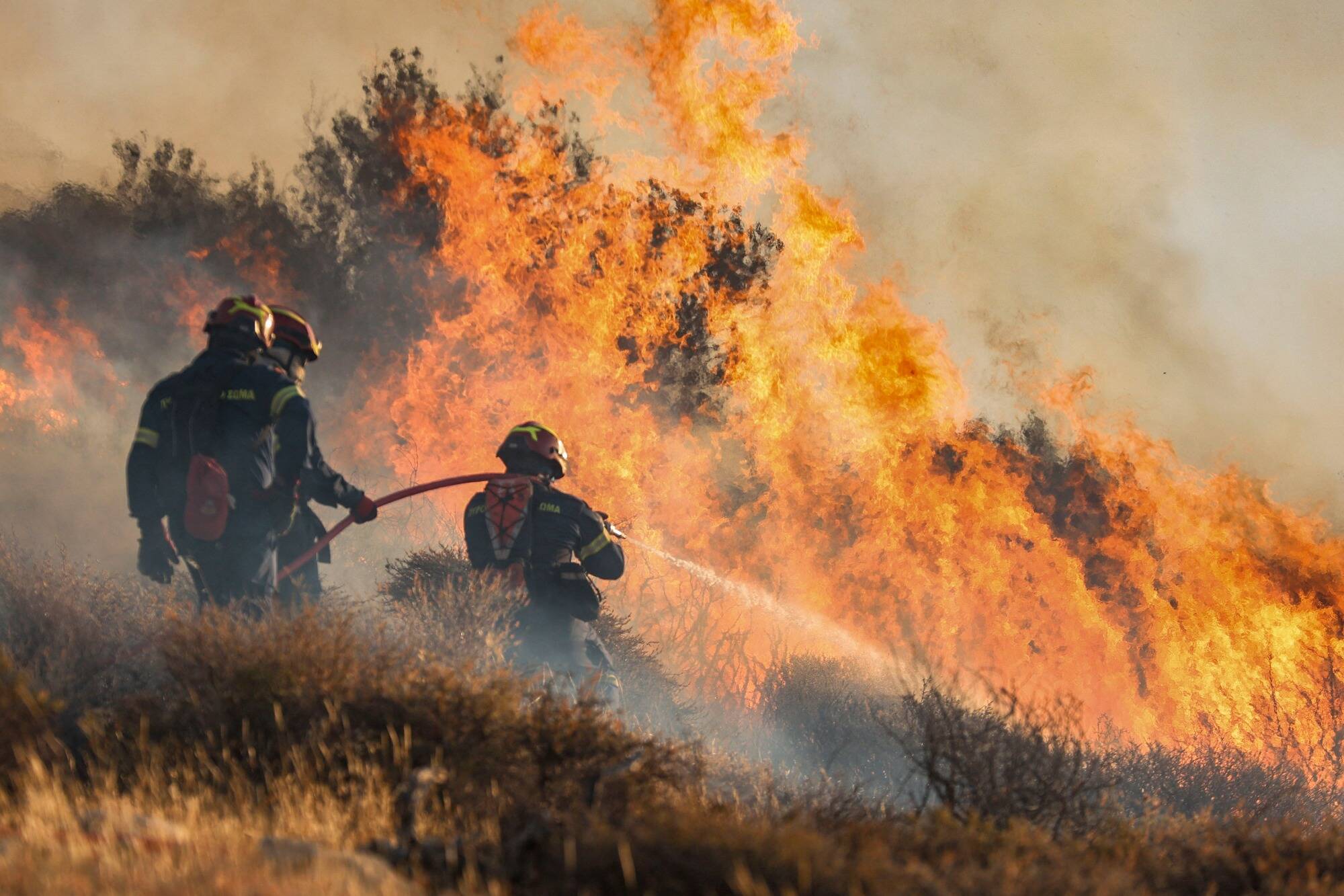 "Le feu est en recul": les images de l'incendie en Grèce qui a entraîné l'évacuation de 5.000 personnes