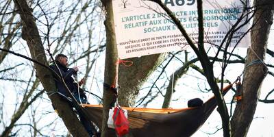 Travaux de l'A69: trois militants écologistes perchés depuis plus d'un mois dans des arbres et un chantier qui continue d'avancer