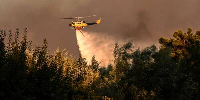 Incendies en Grèce : les autorités ordonnent l'évacuation de la ville historique de Marathon, près d'Athènes