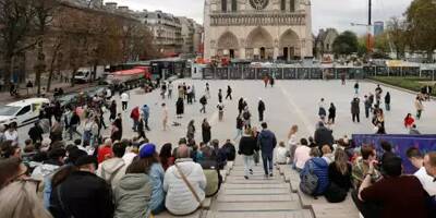 Vitraux de Notre-Dame: grand oral pour les huit artistes finalistes