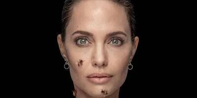 Pourquoi Angelina Jolie est en visite dans la Sainte-Baume ce mercredi après-midi