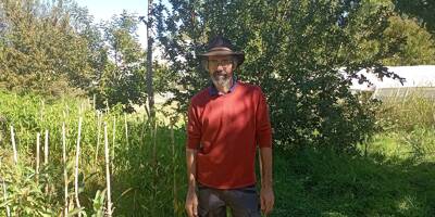 Dans le Gard, un maraîcher cultive ses légumes à l'ombre des arbres