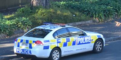 Les restes de deux enfants retrouvés dans des valises vendues aux enchères en Nouvelle-Zélande