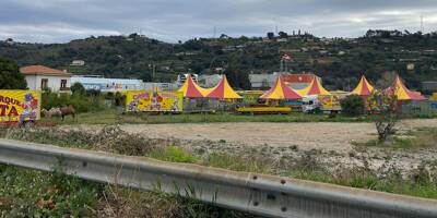 Cirque Zavatta à Nice: le gérant porte plainte à son tour, le chapiteau en cours d'installation