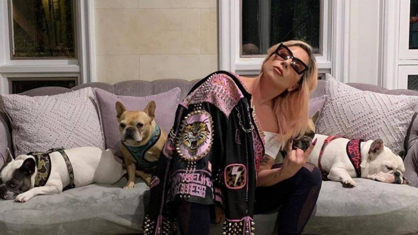 L'un des ravisseurs des chiens de Lady Gaga lourdement condamné pour tentative de meurtre