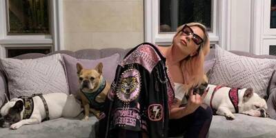L'un des ravisseurs des chiens de Lady Gaga lourdement condamné pour tentative de meurtre