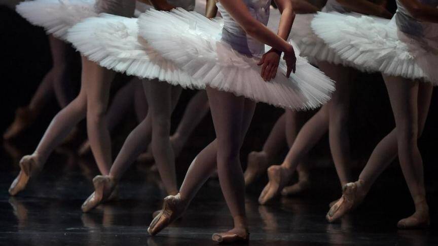 Un directeur de ballet allemand étale des crottes de chien sur le visage d'une journaliste car il était mécontent de ses critiques