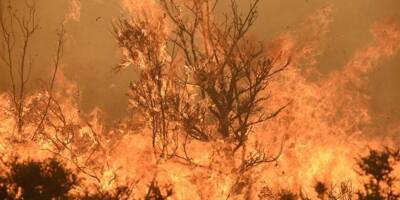 En Espagne, plus de 150 pompiers mobilisés par un incendie en Andalousie