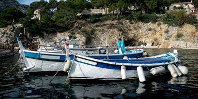 CatchMachine, comment cette application va permettre d'évaluer la pêche de loisir dans les Calanques