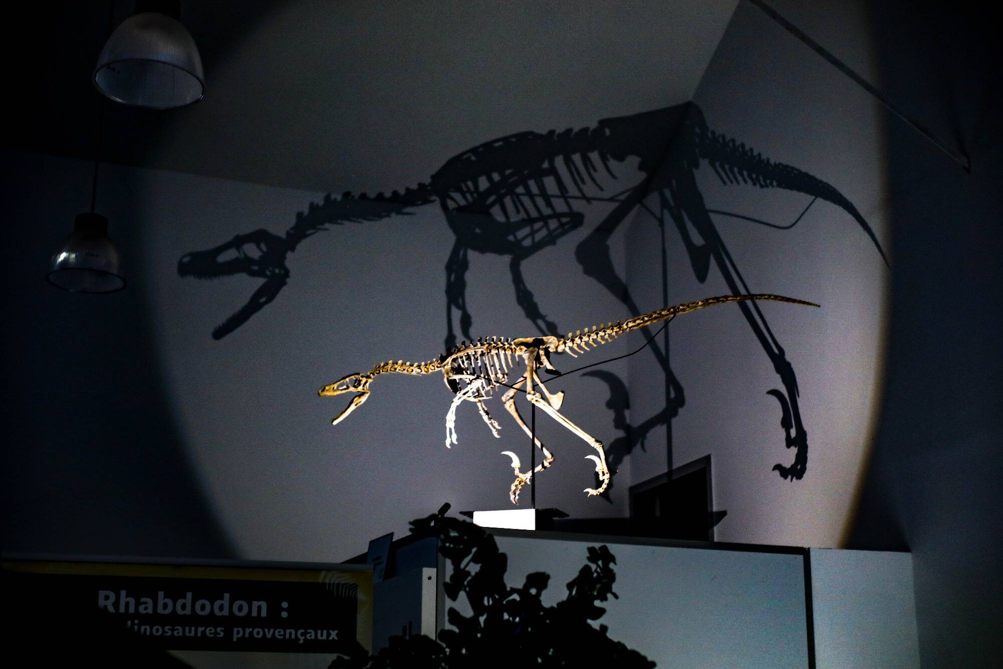 Vous connaissez Aix-en-Provence... mais connaissez-vous "Eggs-en-Provence" et sa pouponnière à dinosaures unique au monde?